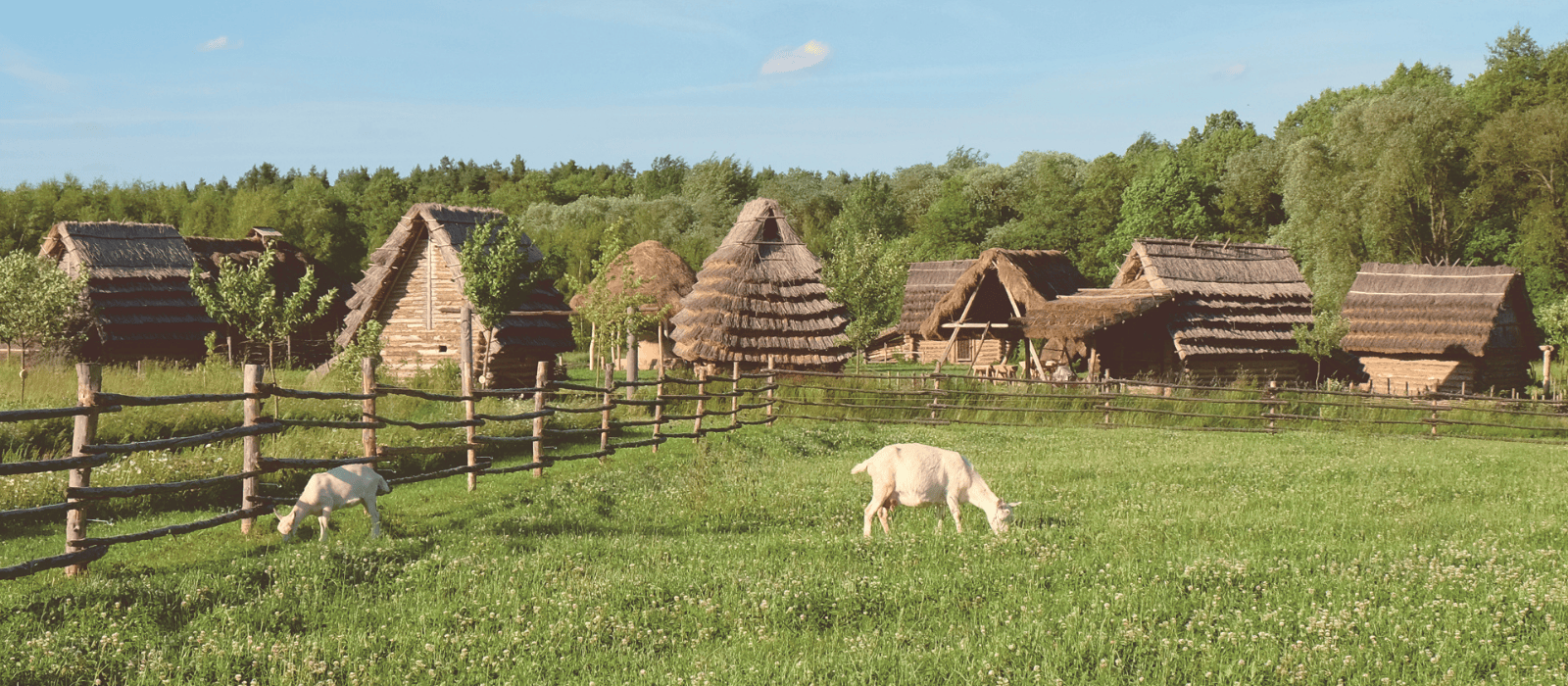 photo from Zážitkový park Zeměráj