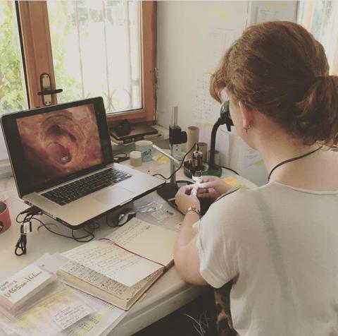 Microwear analysis of beads at the site of Çatalhöyük