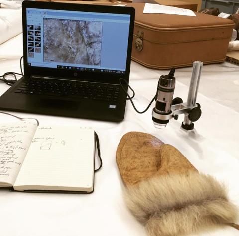 Microwear analysis of historic Inuit sealskin mittens