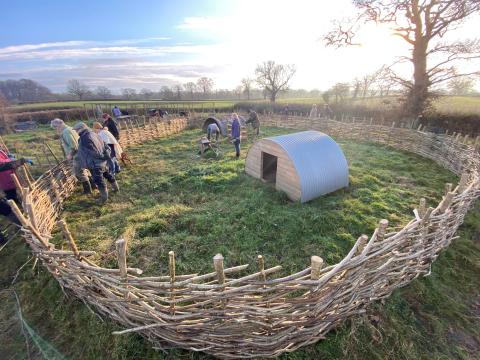 Iron Age pig enclosure