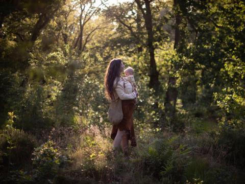 Mothering in the Stone Age