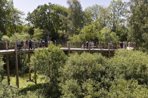 The Wild Winding Path