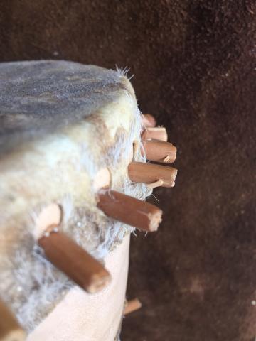Close-up of the rim of the TRB drum from Gerwisch