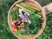 Plate of foraged foods