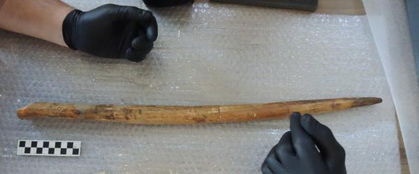 A digging stick…really?