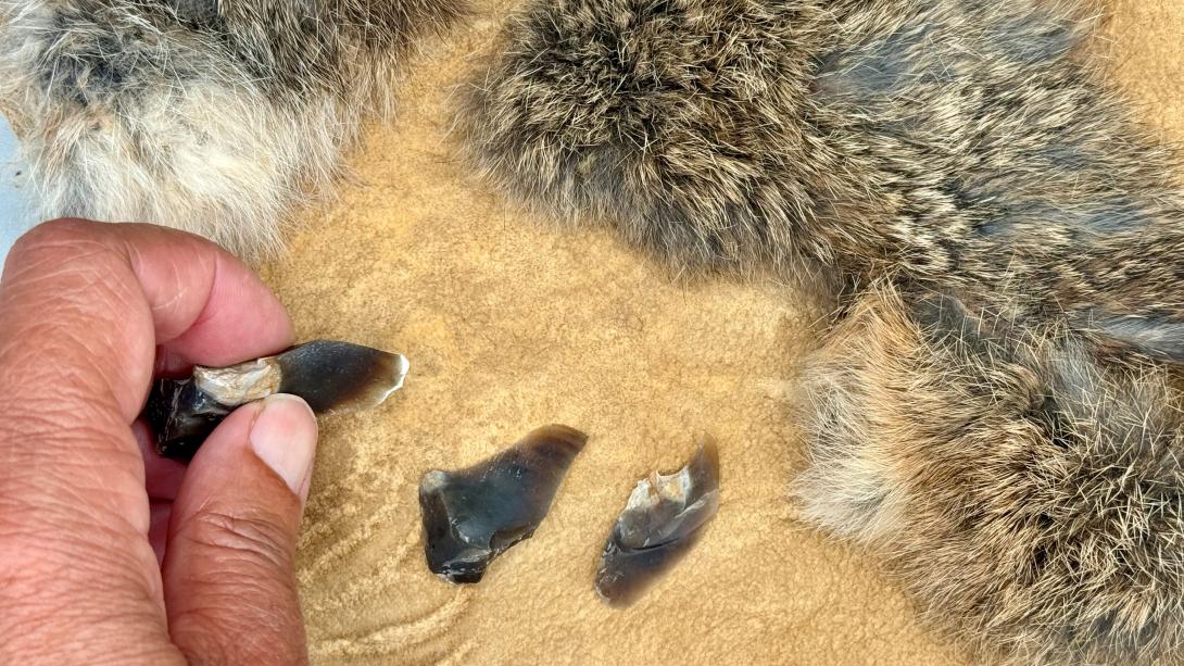Neanderthal Stone Flakes